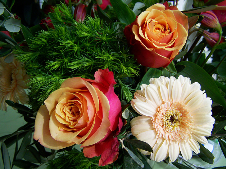 gėlių puokštė, Rožė, Gerbera, skintos gėlės