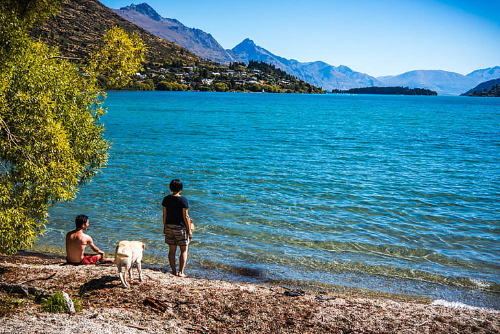 Parque de la paz, Lago wapatiku, Queenstown, Nueva Zelanda, perro, montañas, naturaleza