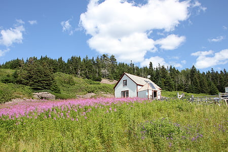 Birdøya, hytte, landskapet, Canada, gaspesie, natur, Sommer