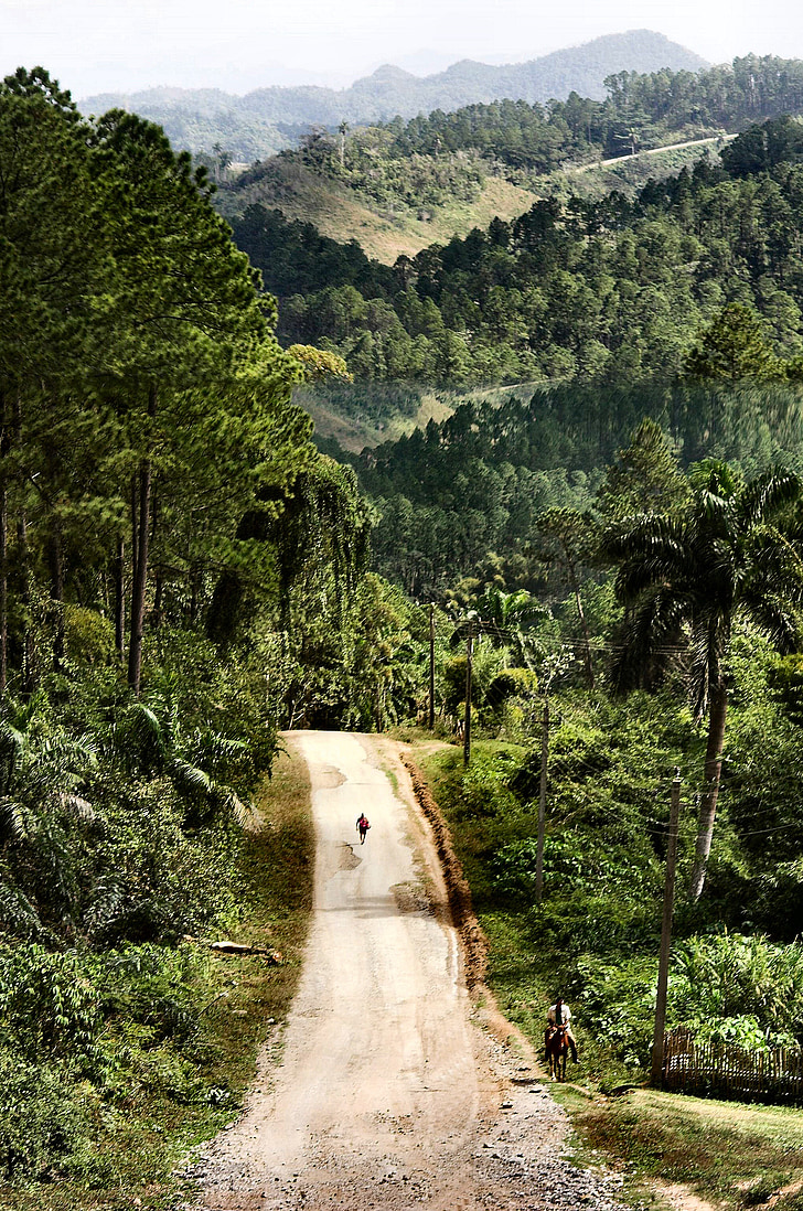 forest, road, landscape, nature, cuba, trinidad