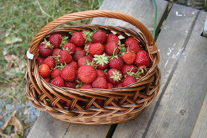 suvel, maasikad, korvi, piknikukorv, puu, toidu ja joogiga, suure nurga vaade