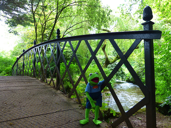 ponte, Kermit, sapo, verde, Rio, Bach, água