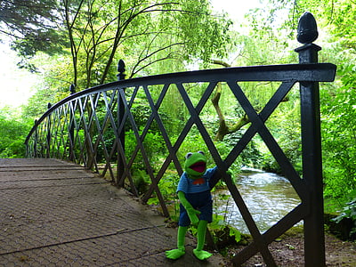 Jembatan, Kermit, katak, hijau, Sungai, Bach, air