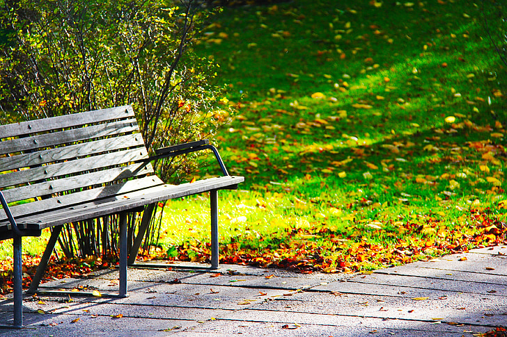 medžio staliukas, suoliukas, Poilsio, rudenį, žalia, vaizdingas, žaluma