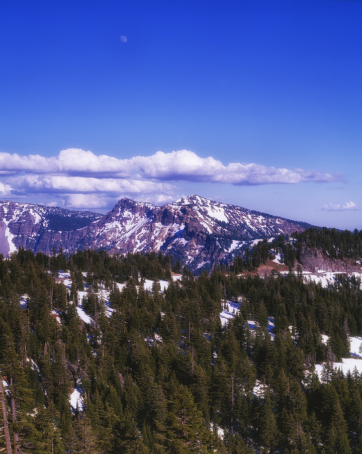 Cascade-hegységben, erdő, fák, erdőben, Washington, évszakok, hó