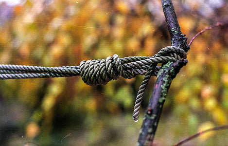 Knot, Seil, gebunden, Zeichenfolge, Symbol, Braun, Schleife