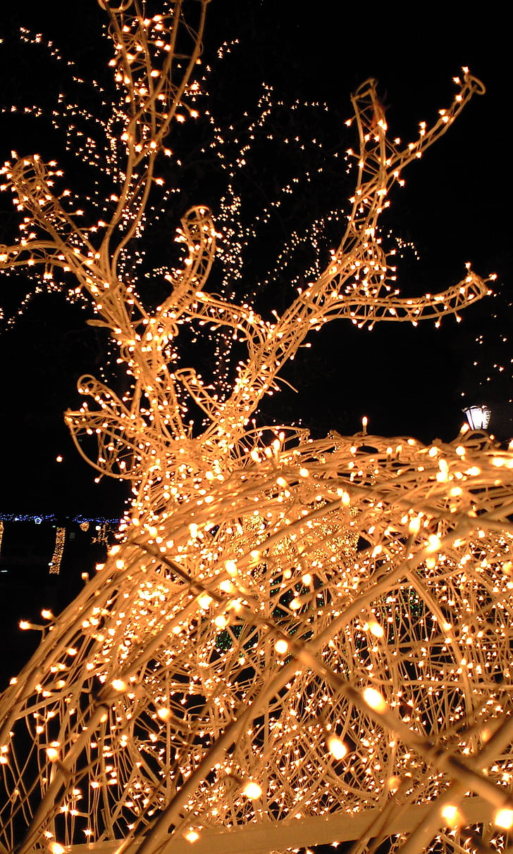 φώτα, LED, φως, Φωτιστικά, διανυκτέρευση, Χριστούγεννα, γιορτή