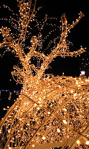светлини, LED, светлина, осветителни тела, нощ, Коледа, празник