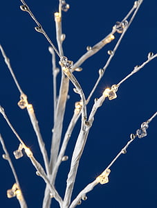 lumières LED, ornements fleur de conduit, closeup LED, fleur en gros plan, fleur de cristal, hiver, glace
