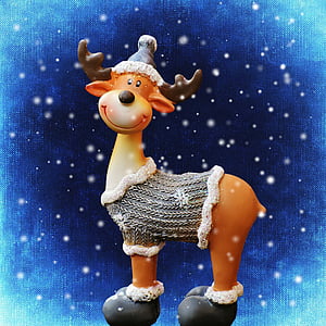 moose, christmas, christmas motif, reindeer, winter, decoration, advent
