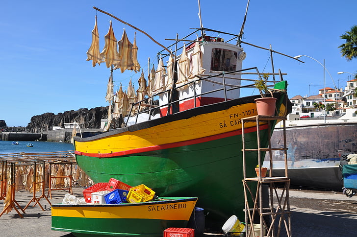 Madeira, Espagne, pêche, bateau, poisson, mer, pêcheur