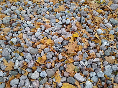 steen, het land, blad, herfst, loof, de stenen