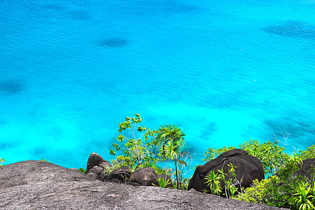 beach, caribbean, cliff, coast, ocean, plants, rock