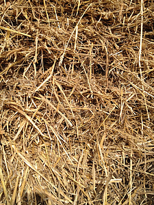straw, grass, grain, hay, bale, haystack, nature