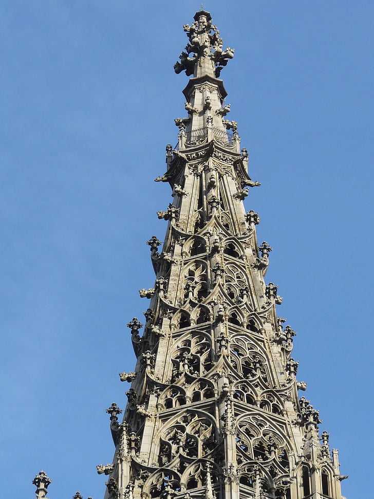 Münster, Ulms katedral, Dom, bygge, høy, kunst, tårnet