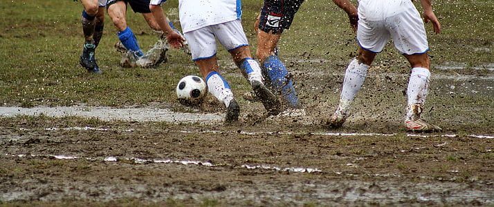soccer, football, feet, sport, ball, field, player