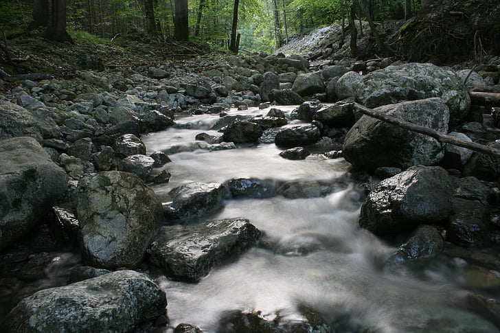 Creek, naturen, Bach, vatten, teigitsch, landskap, Steiermark