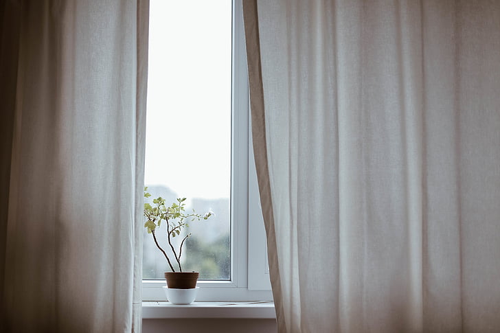 κουρτίνες, διακόσμηση, σε εσωτερικούς χώρους, φυτό, φυτό γλαστρών, παράθυρο
