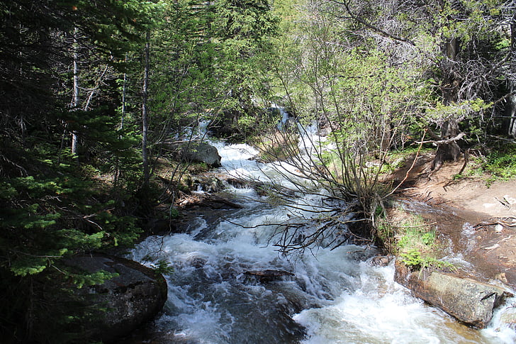 Colorado, stjenovite planine, tok, priroda, teče voda, Rijeka, šuma