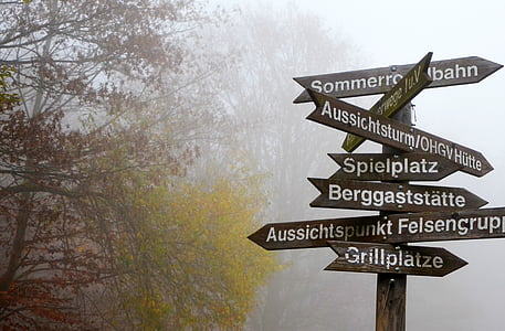 fog, directory, decisions, foggy, away, direction, autumn