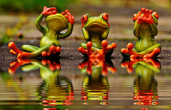 not see, not hear, do not speak, frogs, cute, funny, bank