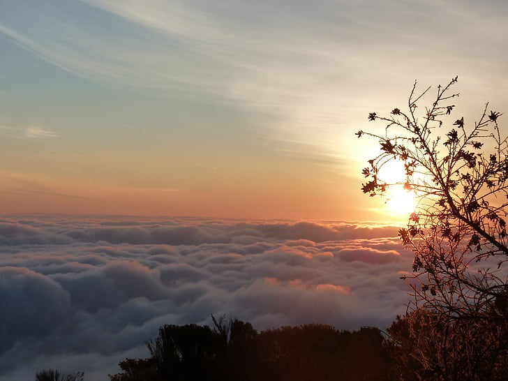 Selva marine, zonsopgang, Kilimanjaro, Afrika, zee van mist, stemming