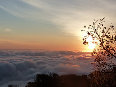 Selva marine, solopgang, Kilimanjaro, Afrika, havet af tåge, humør