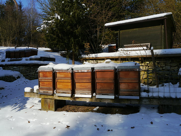 bees, winter, nature, beehive, farm