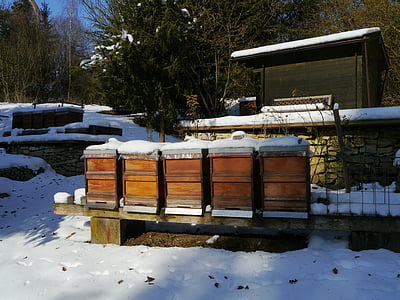 Bienen, Winter, Natur, Bienenstock, Bauernhof