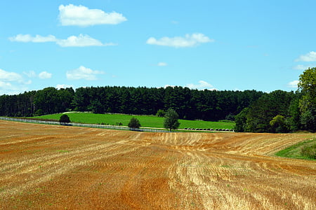 tierras de labrantío, campo de la granja, granja, campo, agricultura, paisaje, campo