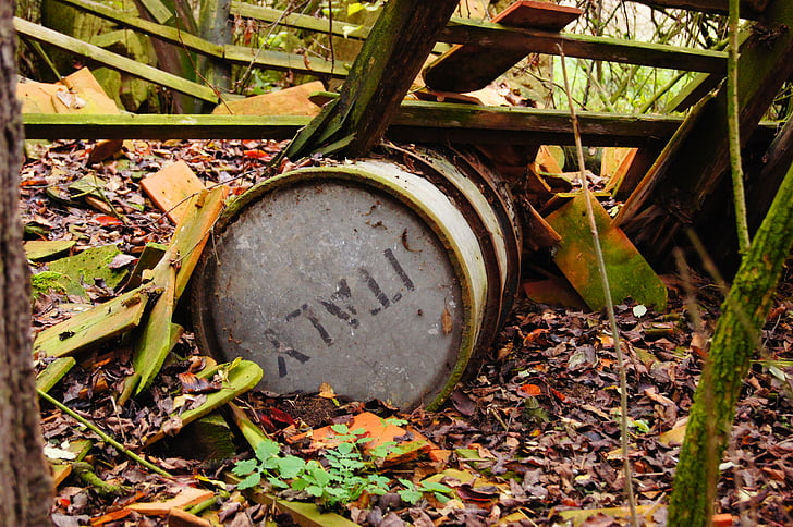 barrel, old, nature, lapsed, pollution, outdoors
