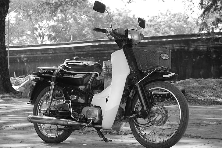 moped, lonely, only