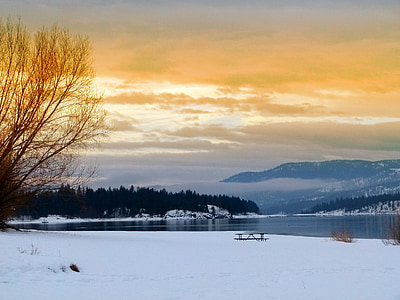罗斯福湖, 华盛顿州, 美国, 景观, 冬天, 雪, 感冒