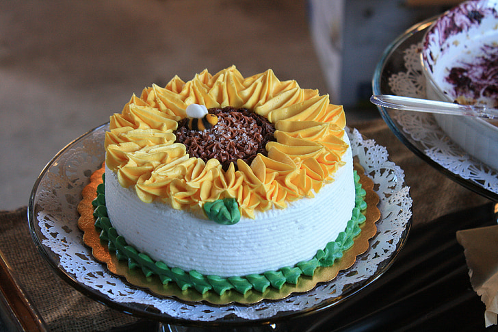 sunflower, cake, dessert, sweet, delicious, tasty, fresh