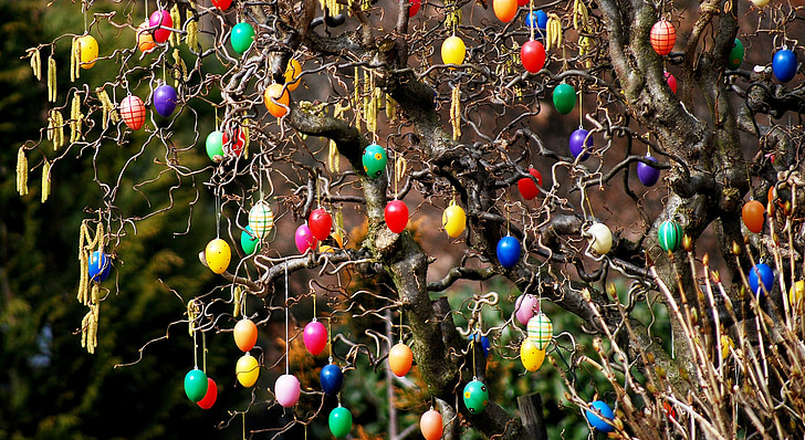 Setmana Santa, arbust, jardí, ous de Pasqua en arbre, decoracions de Pasqua, ou, múltiples colors