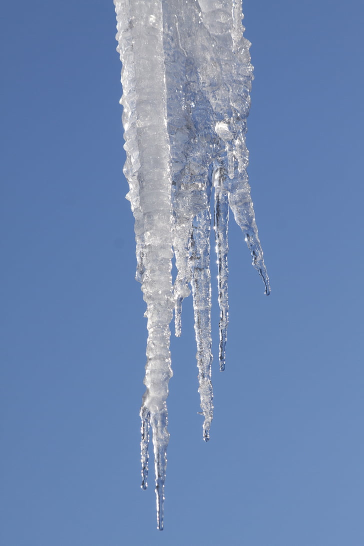 ice, icicle, cold, winter, white, blue, frost