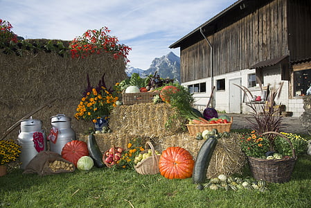 День благодарения, фрукты, Фестиваль, овощи, Осень, Сельское хозяйство, урожай