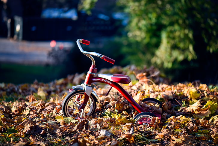 autumn, fall leaves, macro, tricycle, trike