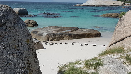 Cape town, plage de rochers, l’Afrique, océan, nature, sable, eau