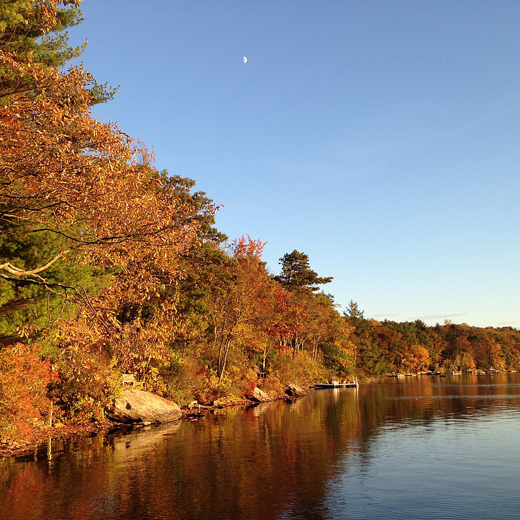jesen, jezero, krajolik, slikovit, jesen, nebo, lišće