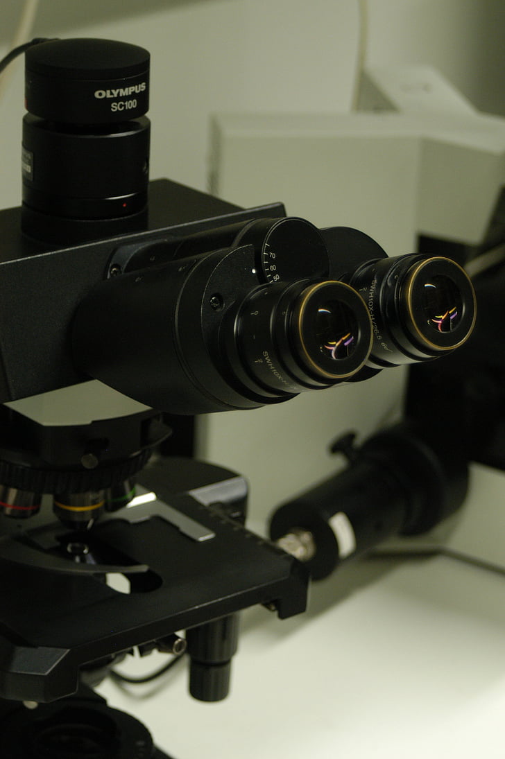 mikroskopet, laboratoriet, forskning, vetenskap, utrustning, lins - optiska instrument
