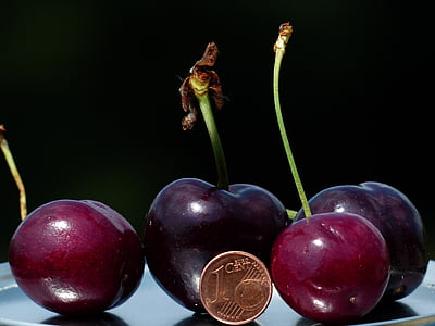 cherries, large, huge, size comparison, cent, penny, coin