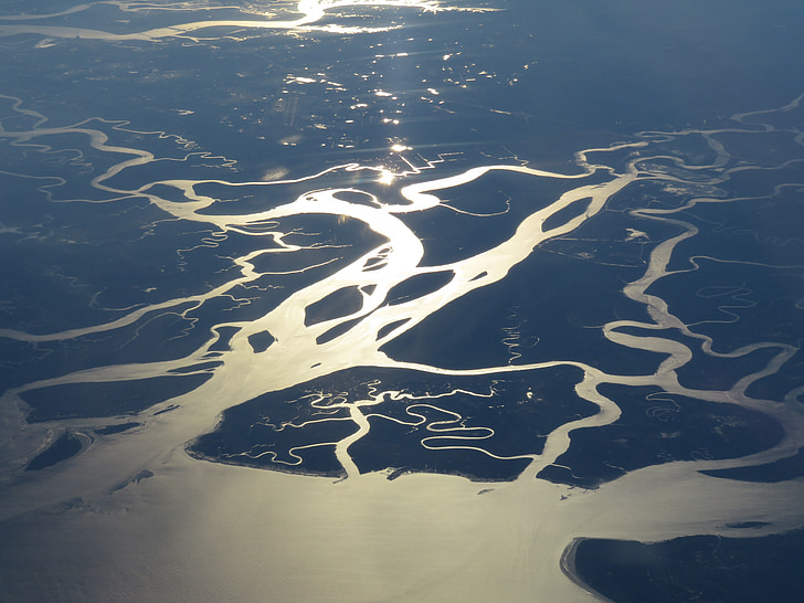 močvirje, Florida, mokrišč, delte reke, Everglades