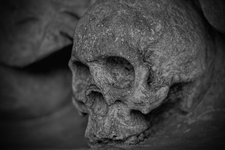 skull and crossbones, skull, dead, skeleton, mortal, stone, sculpture