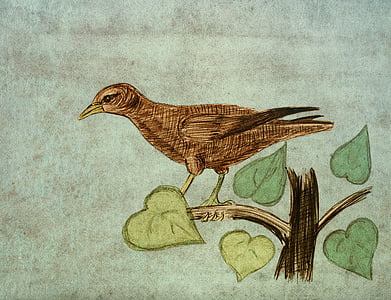 oiseau, Direction générale de la, arbre, feuillage, nature, Parc, feuilles