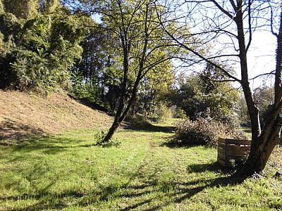 Friuli, ogród, Prato, drzewo, Natura, na zewnątrz, trawa