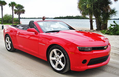 Camaro, Florida, cabriolet, Camaro convertible, zomer, vakantie, gevoel
