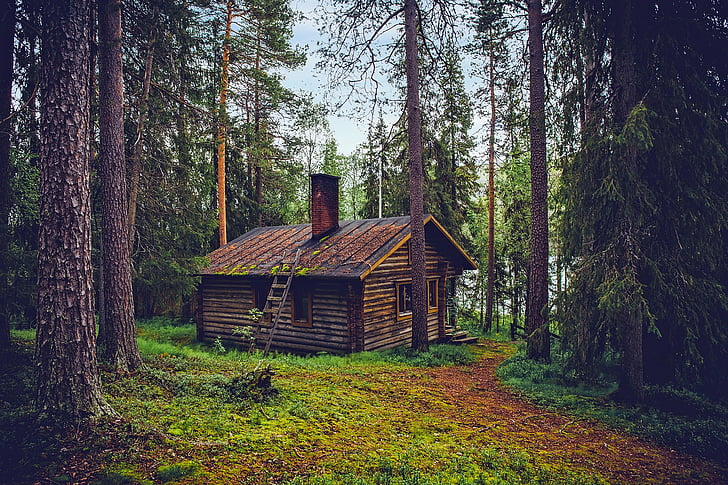bjælkehytte, Sommerhus, hus, hjem, Finland, landskab, natur