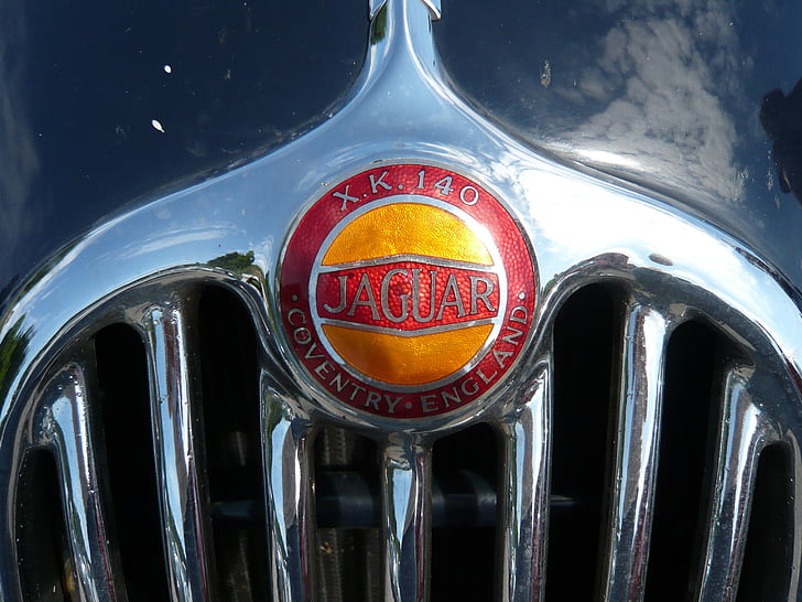 galler, Jaguar, emblem