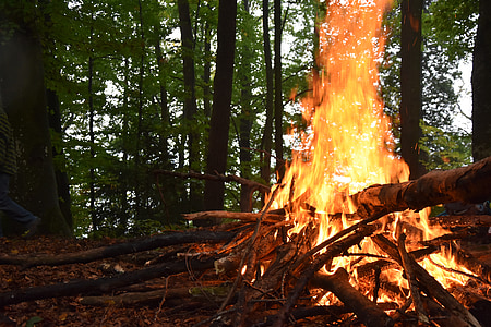 fire, wood, forest, firewood stack, flame, adventure, campfire